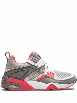 PUMA: Красные кроссовки  Blaze of Glory