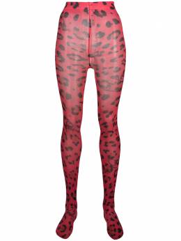 Philipp Plein: Колготки 