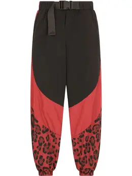 Dolce & Gabbana: Брюки с леопардовым принтом 