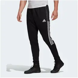 adidas: Спортивные брюки 