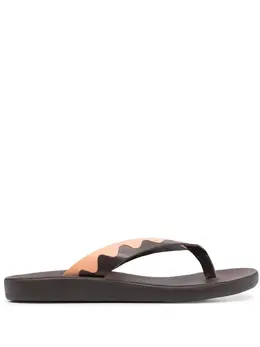 Ancient Greek Sandals: Двухцветные шлёпанцы  Ammos