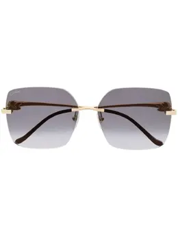 Cartier Eyewear: Очки 