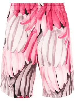 MSGM: Шорты с принтом 