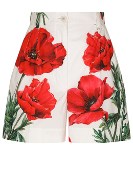 DOLCE&GABBANA: Шорты 