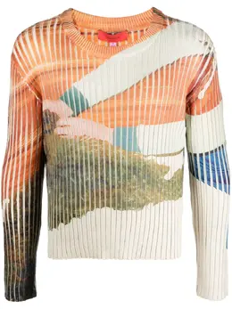 Eckhaus Latta: Свитер с принтом 
