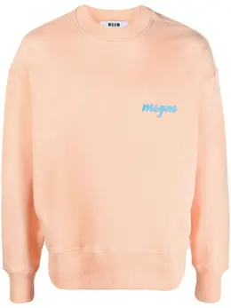 MSGM: Свитшот с принтом 