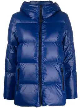Tommy Hilfiger: Куртка с капюшоном 