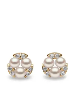 Yoko London: Серьги  Sleek Akoya