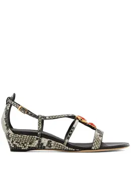 Giuseppe Zanotti: Многоцветные сандалии  Adelaide