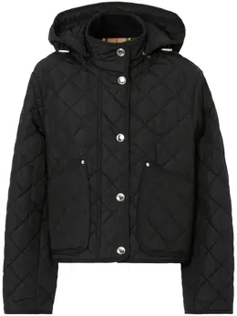 Burberry: Куртка с капюшоном 