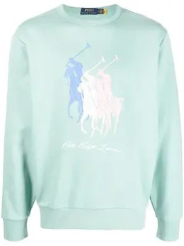 Polo Ralph Lauren: Свитшот с принтом 