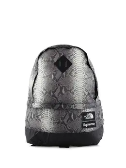 Supreme: Чёрный рюкзак  TNF