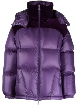 Moncler: Бархатная куртка 