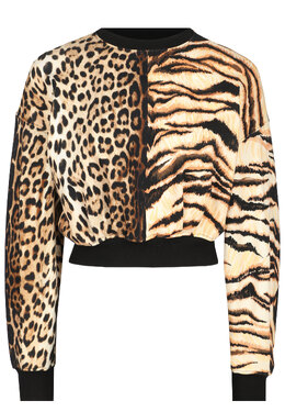 ROBERTO CAVALLI: Коричневая толстовка 