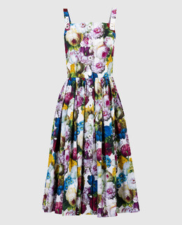 Dolce&Gabbana: Сукні 