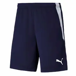 PUMA: Тёмные шорты  Training