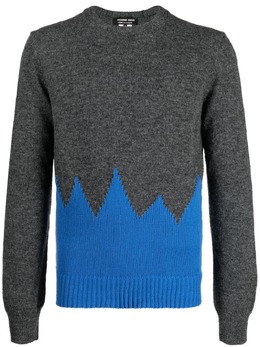 Comme des Garçons Homme Deux: Двухцветный свитер 
