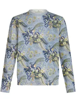 ETRO: Жаккардовый свитер  Pegaso