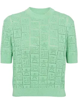 Balmain: Жаккардовый топ 