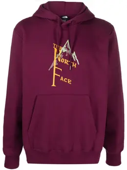 The North Face: Толстовка  Logo с принтом