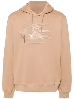 ETRO: Бежевая толстовка  Pegaso