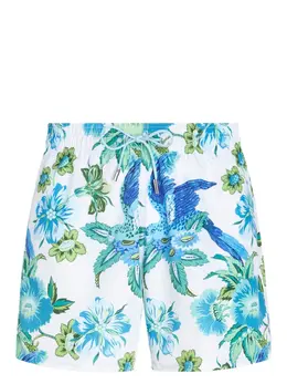 ETRO: Плавки 