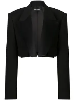 Dolce & Gabbana: Бархатный жакет  Velvet