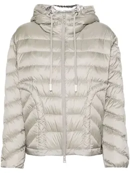 Moncler: Стёганые куртка 