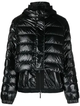 Moncler: Стёганые куртка 