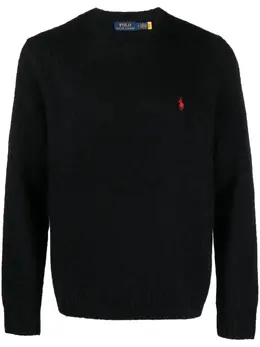 Polo Ralph Lauren: Трикотажное поло 