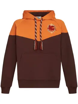 ETRO: Хлопковая толстовка  Pegaso