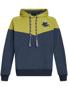 ETRO: Хлопковая толстовка  Pegaso