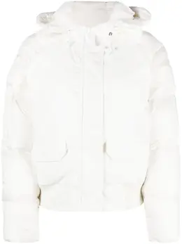 Canada Goose: Стёганые куртка  Chilliwack