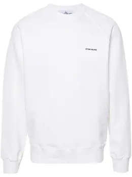 Stone Island: Свитшот с принтом 
