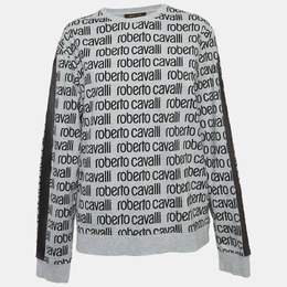 Roberto Cavalli: Свитшот с принтом 