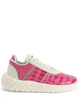 Giuseppe Zanotti: Розовые кроссовки  Urchin