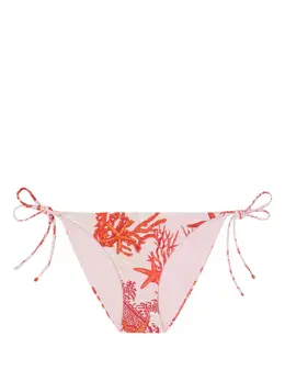 Versace: Купальник  Barocco