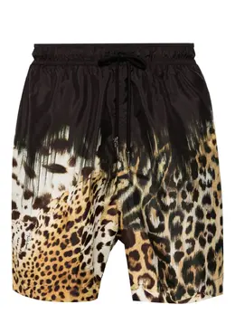 Roberto Cavalli: Плавки  Tiger Tooth