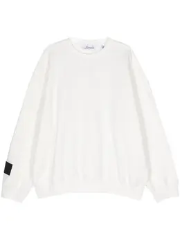 Lanvin: Свитшот с принтом 