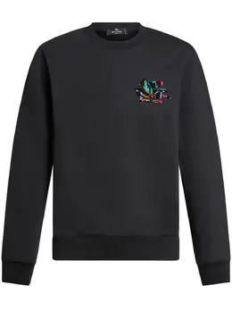 ETRO: Чёрный свитшот  Pegaso
