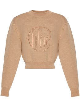 Chloé: Свитер из шерсти 