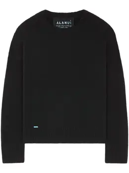 Alanui: Кашемировый свитер 