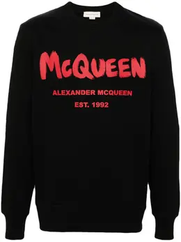 Alexander McQueen: Свитшот с принтом 