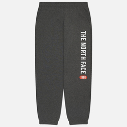 The North Face: Серые брюки  Graphic