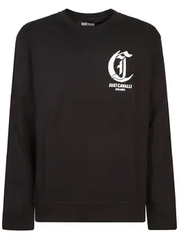 Just Cavalli: Хлопковый свитшот 