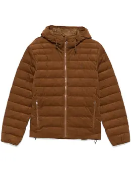 Polo Ralph Lauren: Коричневая куртка 