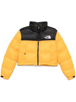 The North Face: Жёлтая куртка  Nuptse