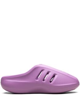 adidas: Фиолетовые сабо 