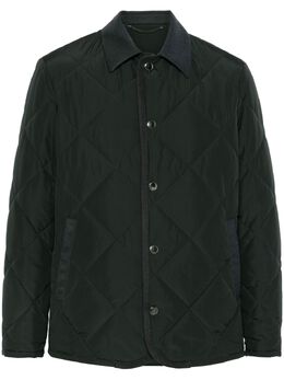 Canali: Стёганые куртка 