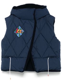Rossignol: Синий жилет 